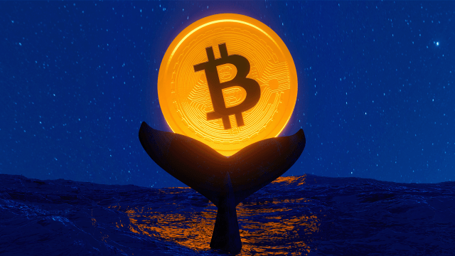 Bitcoin-hvalbestande falder til seks-års lavpunkt: Er en dybere prisnedgang på vej?