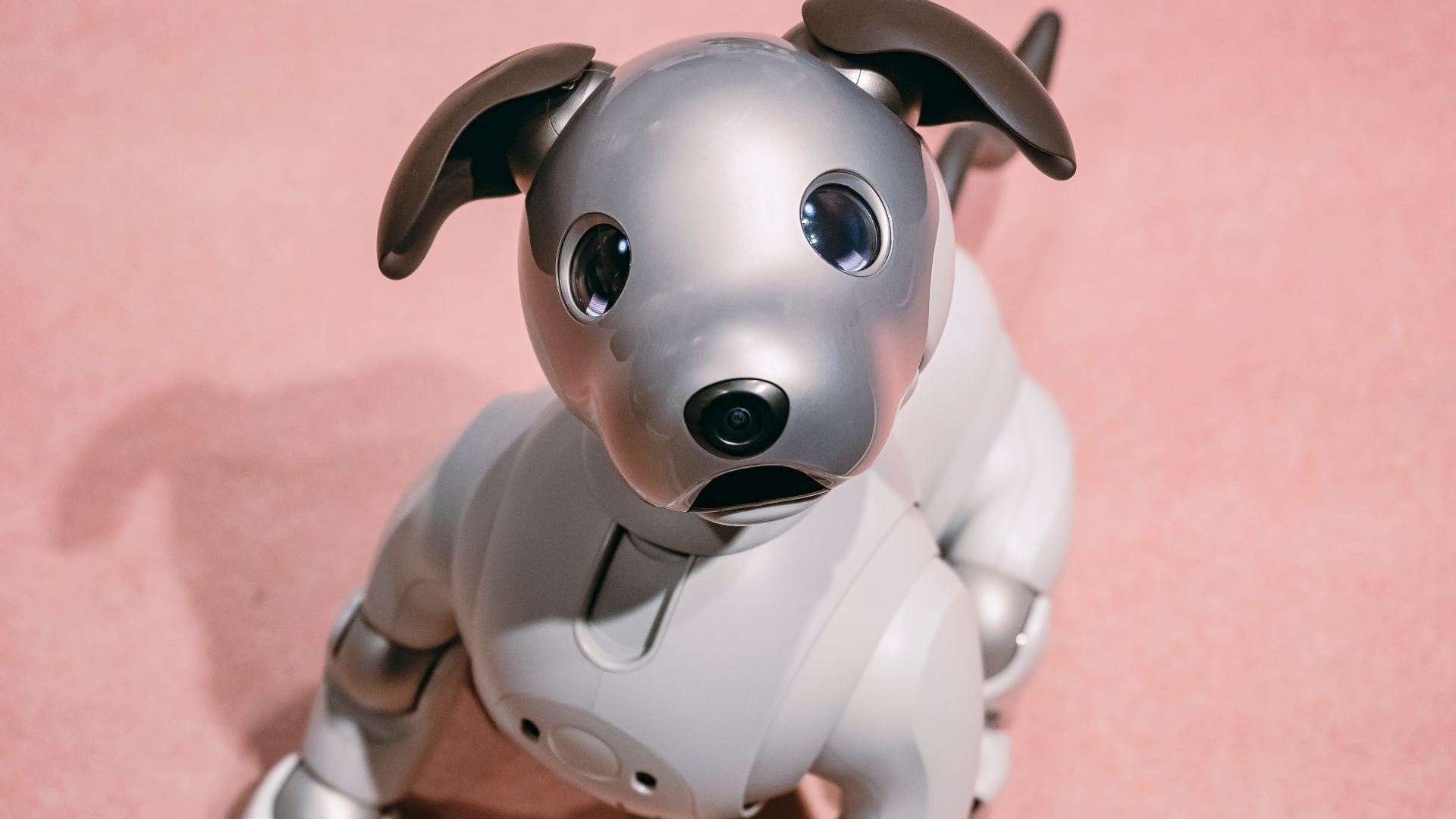 Sonys Aibo Robot Hund er tilbage - i Ethereum NFT form