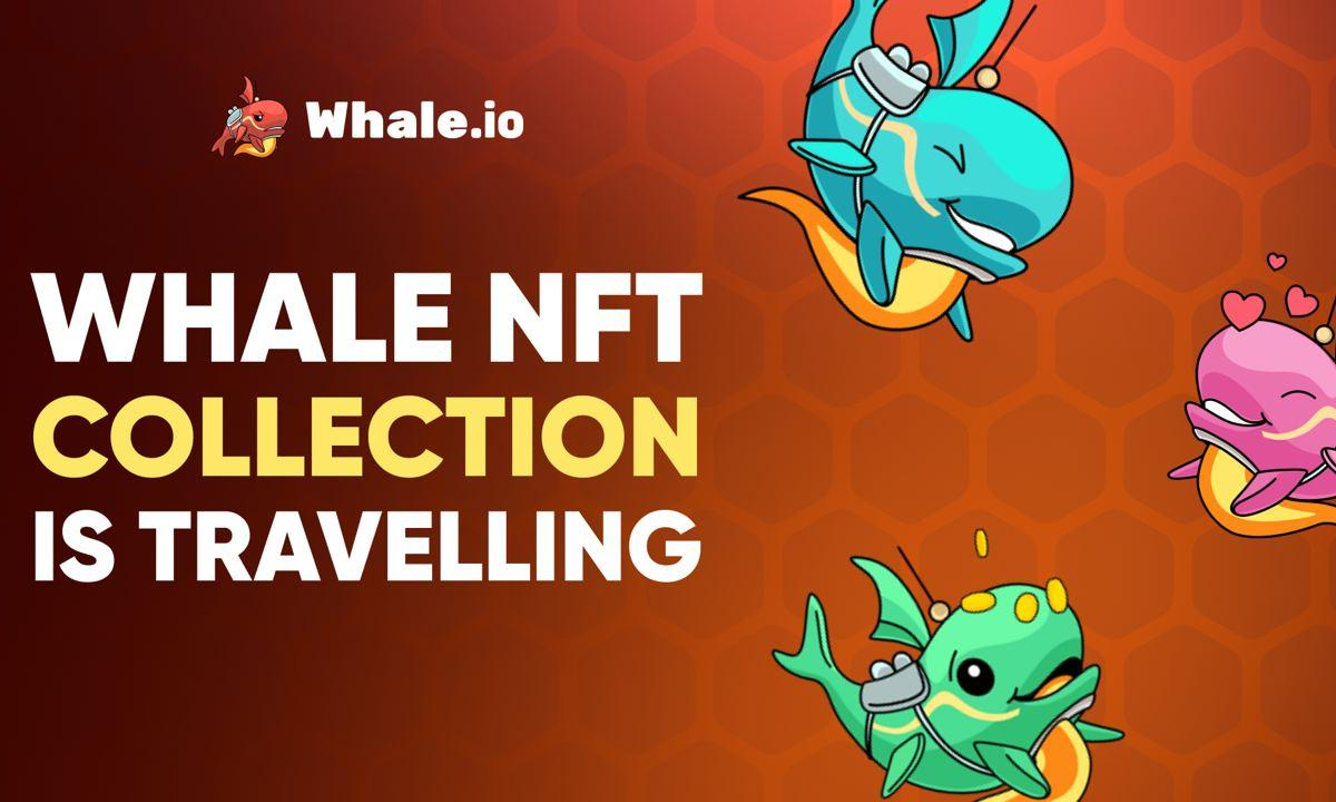 Whale.io til Bridge NFT-samlingen fra TON Blockchain til Solana