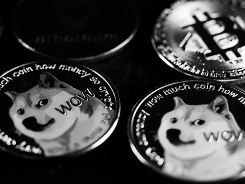 Dogecoin-hvaler er tilbage på markedet: Hvor meget DOGE har de købt siden?