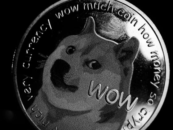 Dogecoin-udvikler sender svindeladvarsel til fællesskabet, her er oplysningerne.