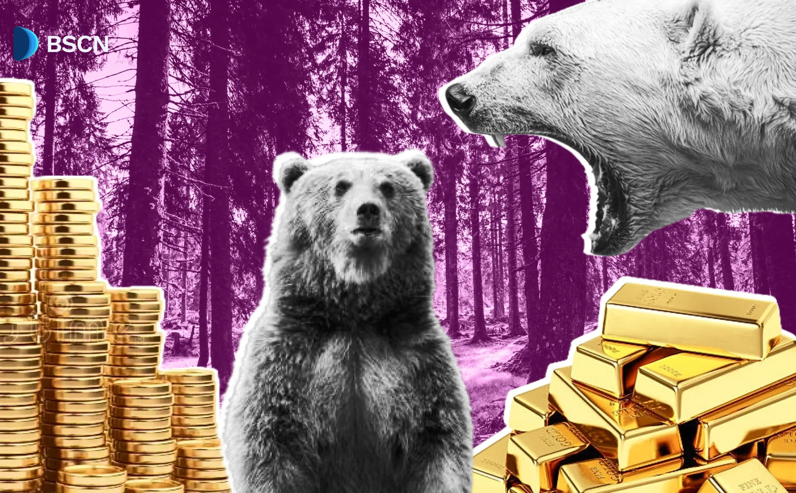 Hvordan man tjener penge i et krypto bjørnemarked