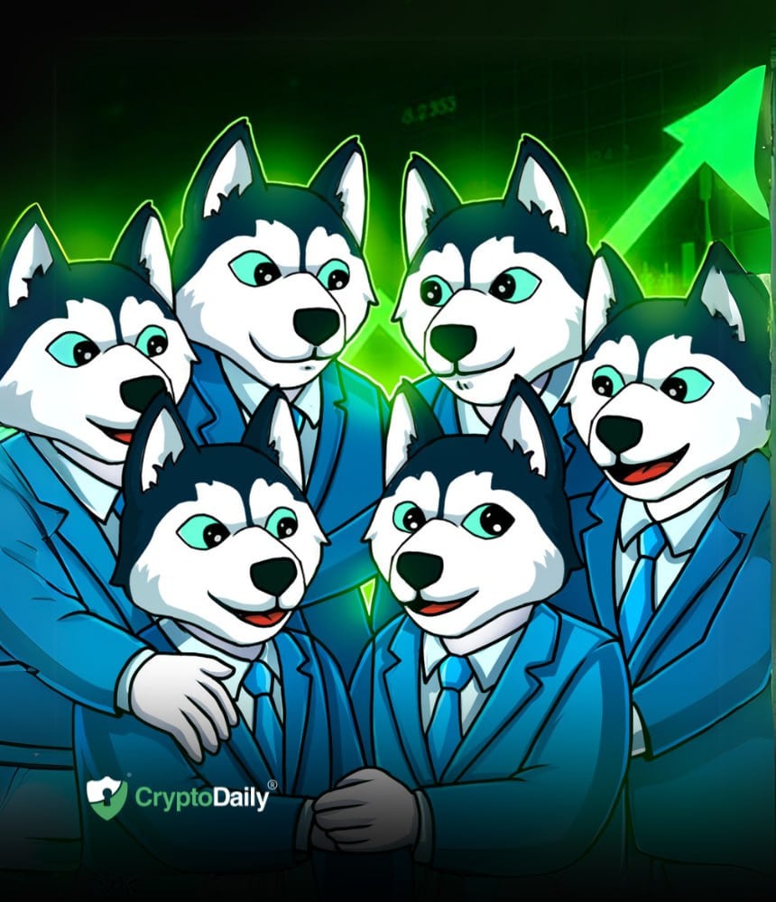 Husky Inu's (HINU) Seneste prisstigning og Meme Coin Outlook