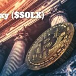 Schwab advarer om, at kryptovaluta kan gå ned til nul – Solaxy ($SOLX) beviste det modsatte
