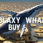 $200K Solaxy Whale-køb: Er $SOLX klar til eksponentiel vækst?