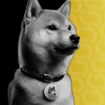 Coinbase har endelig afsluttet retssagen om Dogecoin lodtrækning.