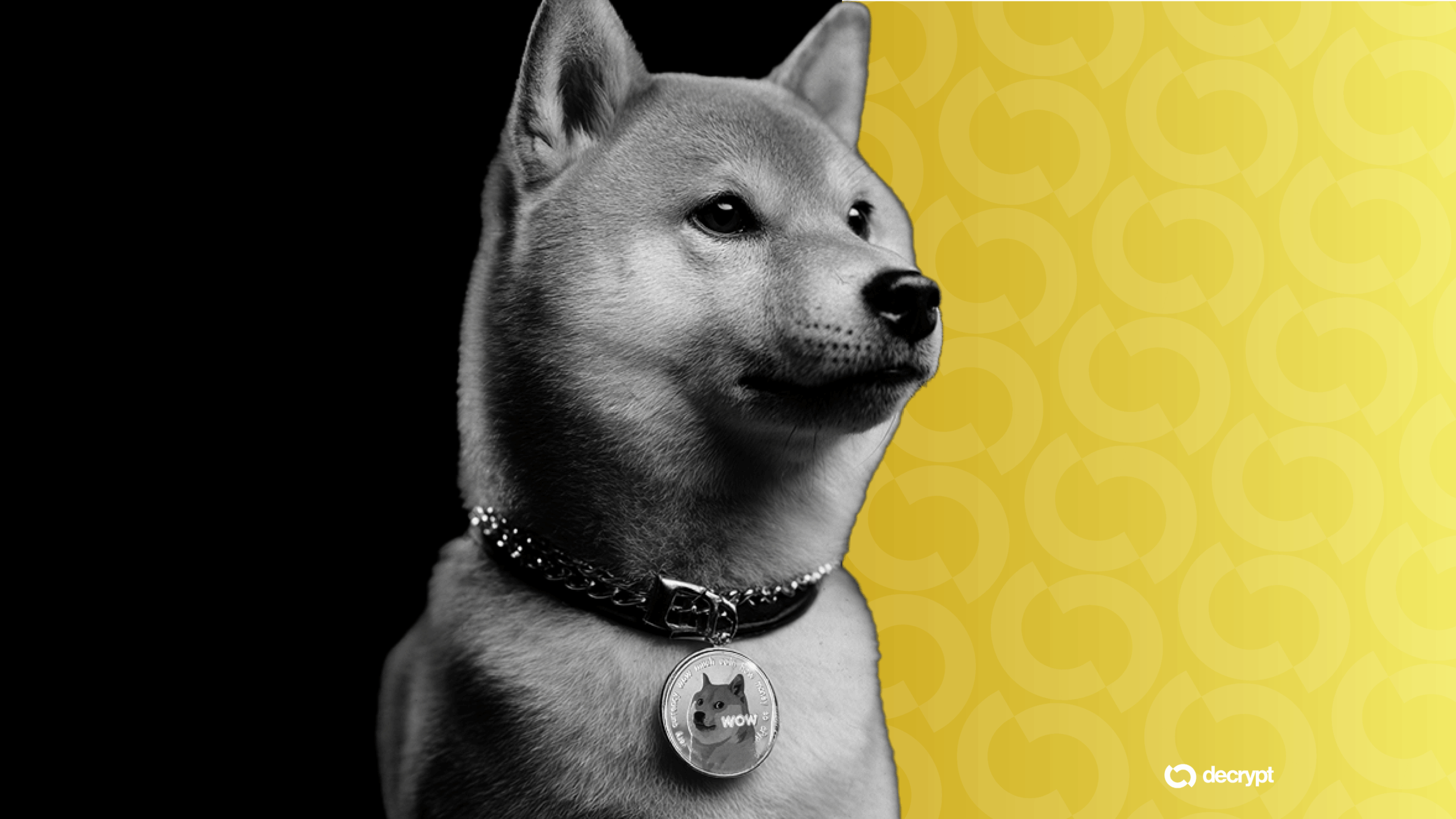 Coinbase har endelig afsluttet retssagen om Dogecoin lodtrækning.