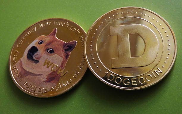 Dogecoin Flasher mønster Der førte til en 30.000% optøjrhest i 2021.