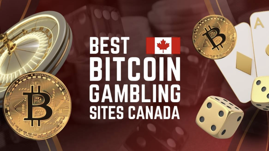10 Bedste Bitcoin-gambling-sider i Canada - Hvor man kan gamble med BTC i 2025