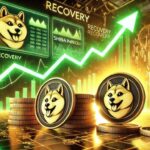 Shiba Inu Stor Transaktionsvolumen Crash 49% på en Dag, Er Hvaler på Vej ud?