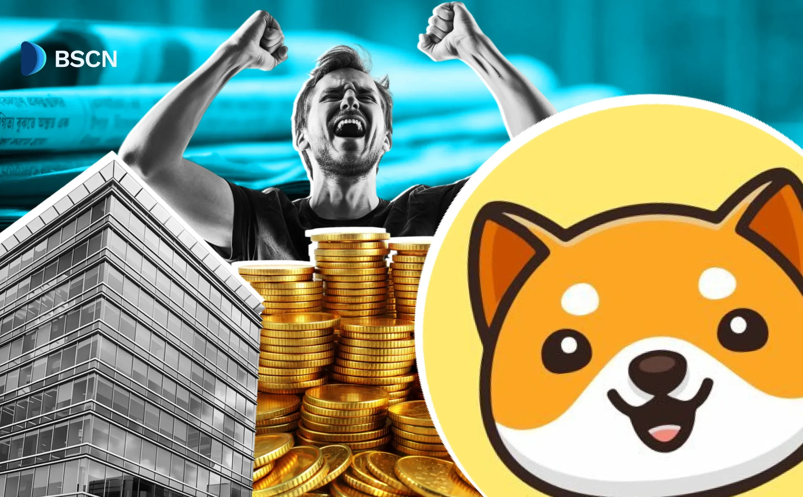 BabyDoge Opdatering: Binance Airdrop, Ejendom og Mere