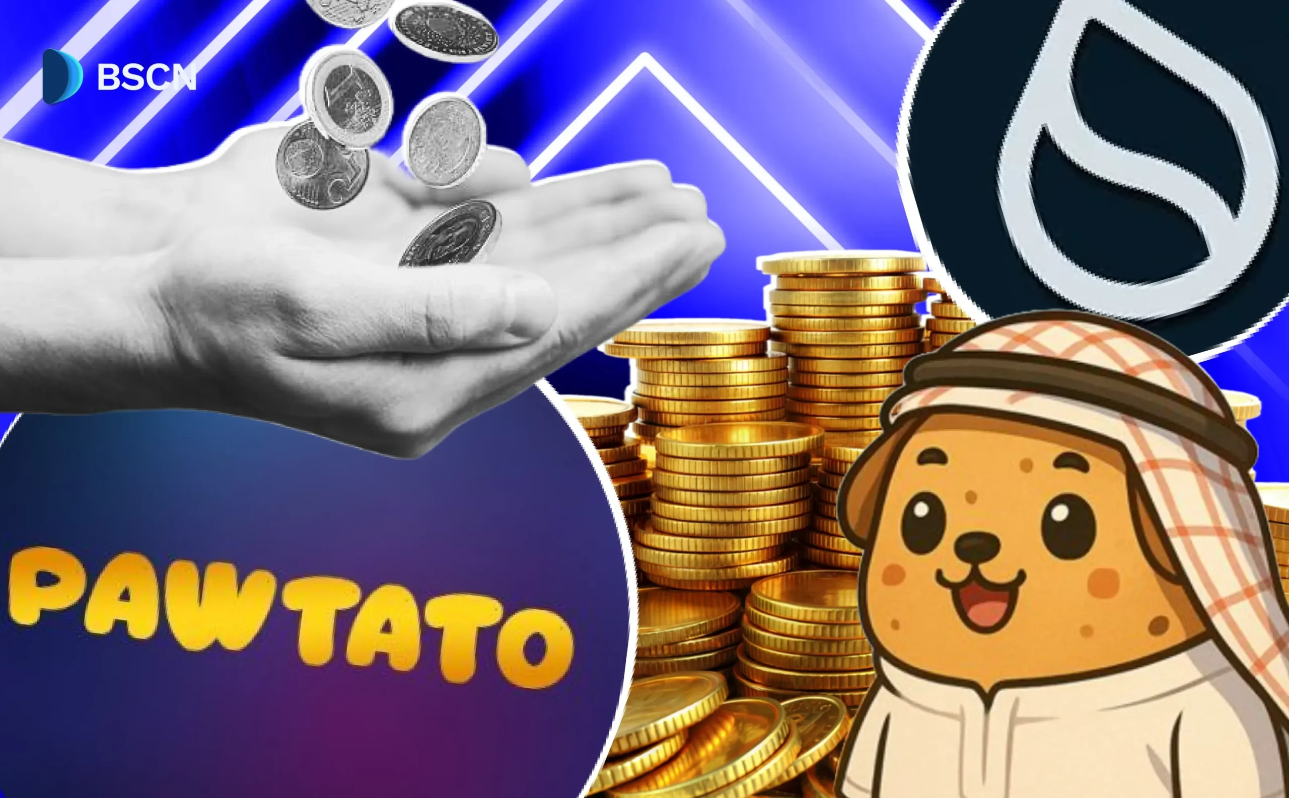 Pawtato Finance: Den førende DeFi-værktøjsplatform på Sui Network