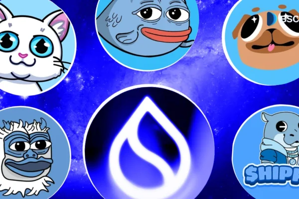 Top 5 SUI Memecoins at holde øje med: 2025-udgaven