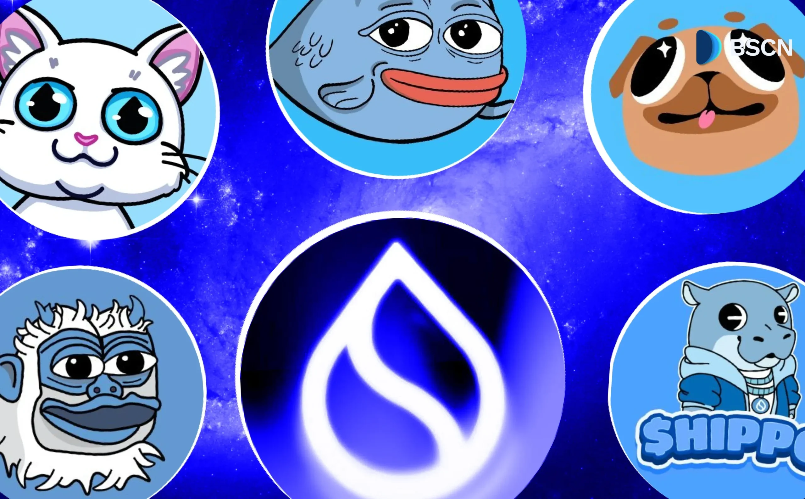 Top 5 SUI Memecoins at holde øje med: 2025-udgaven