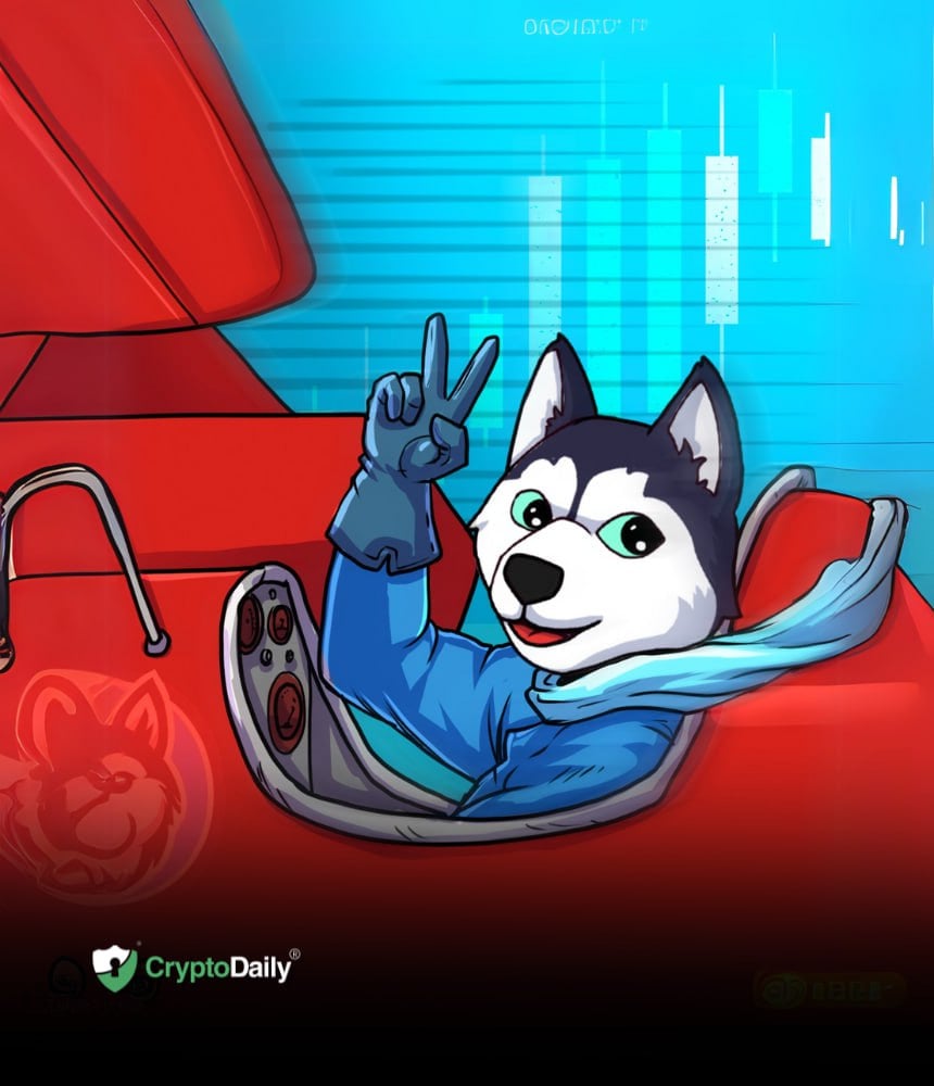 Hvordan skrider Husky Inu (HINU) i sin prælancering fase?