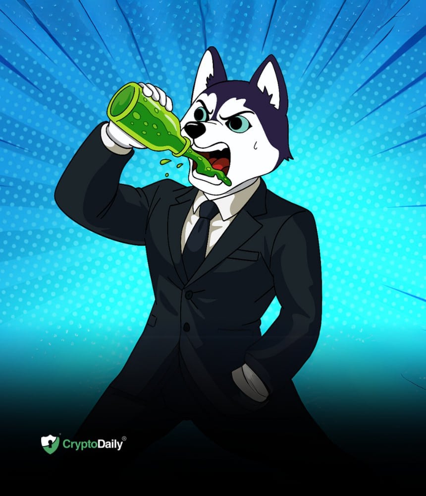 Husky Inu (HINU) vs Trump (TRUMP): Hvordan klarer de to sig?