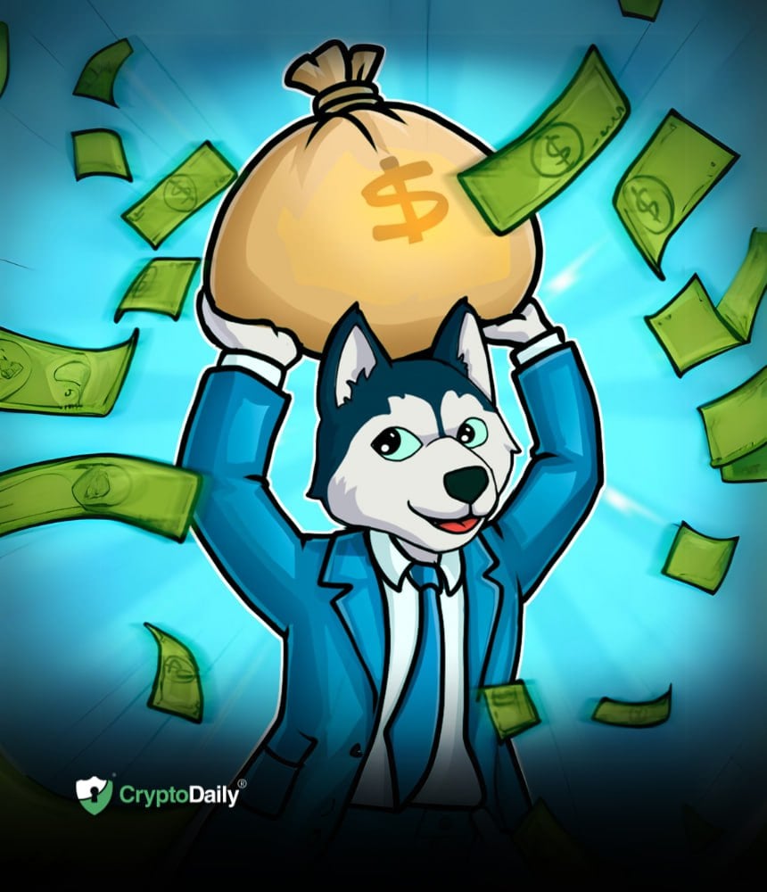 Husky Inu (HINU) klar til prisstigning til $0.00017225