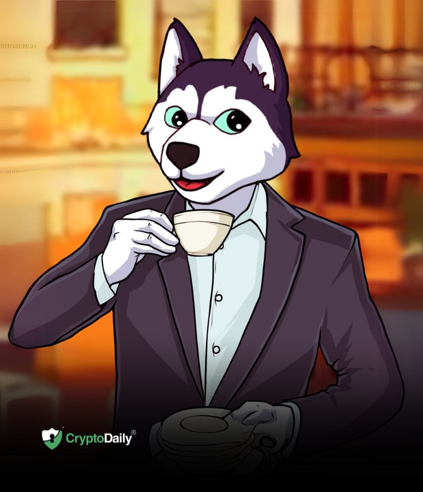 Husky Inu (HINU) klar til prisstigning mens markederne stiger.